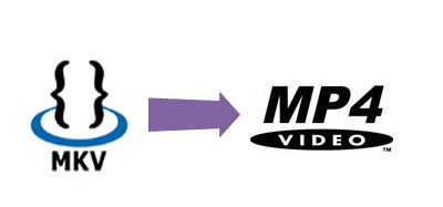 mkv anime losing subtitles